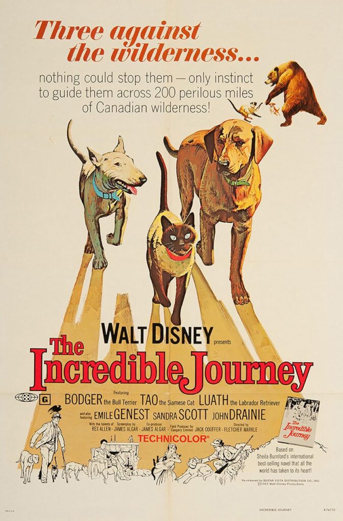 Top 7 Classic Dog Movies